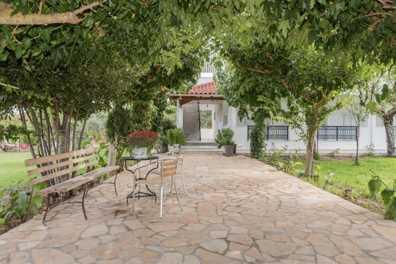 Yiota Studios Alykes  Luaran gambar